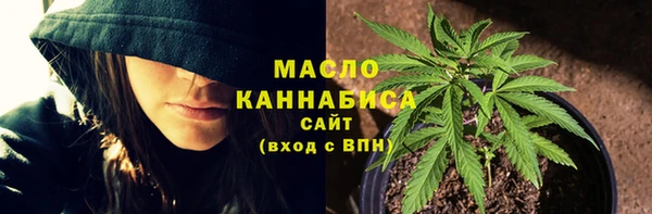 мет Пересвет