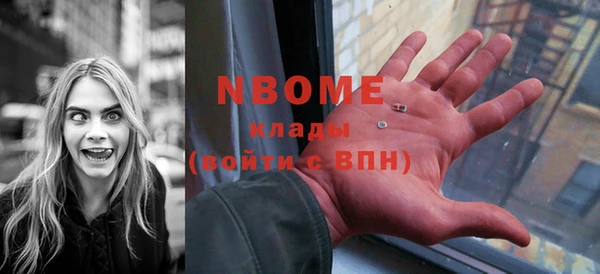 гашик Переславль-Залесский