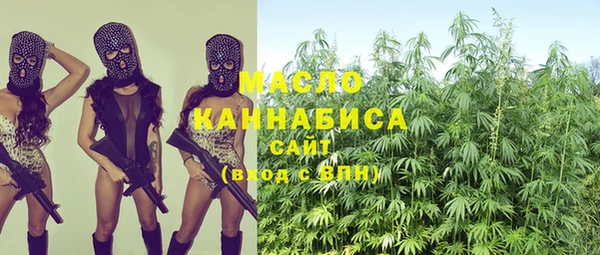 мет Пересвет