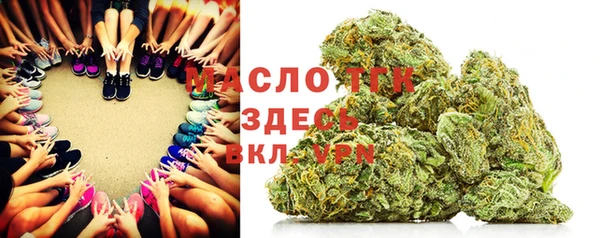 гашик Переславль-Залесский