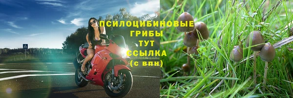 гашик Переславль-Залесский