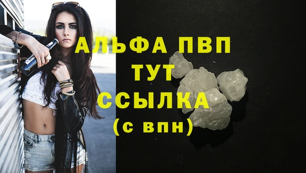 гашик Переславль-Залесский