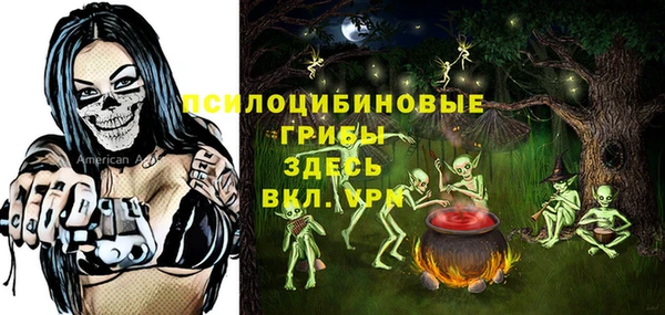 мет Пересвет
