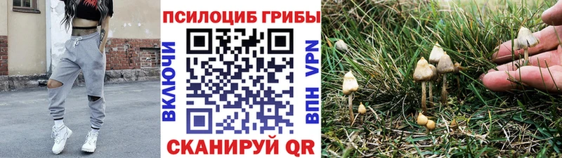 Галлюциногенные грибы ЛСД  kraken ТОР  Кушва 