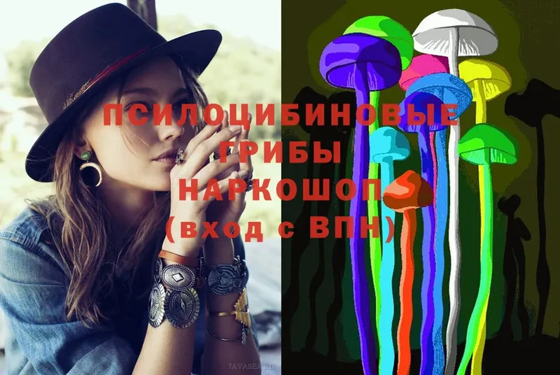 хочу наркоту  Кушва  Псилоцибиновые грибы Psilocybe 