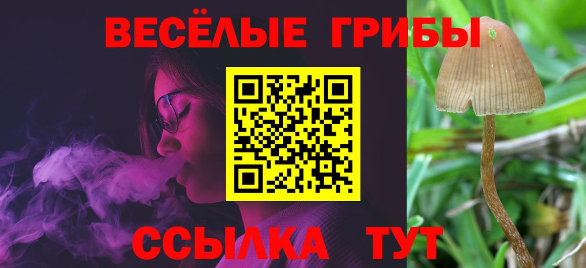 Галлюциногенные грибы Psilocybine cubensis  Вход с VPN  Кушва 